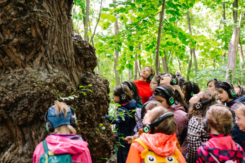 VRUM c Alek Kawka Ich Bin Der Wald web (10)